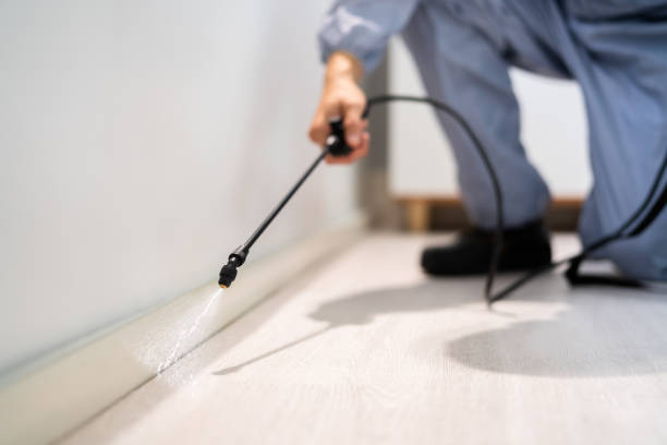 Licensed Fumigation Services service in Moore County County, TX - Nex Pest Control